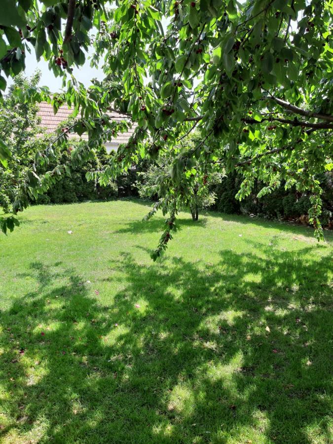 Eisenstadt Apartments المظهر الخارجي الصورة