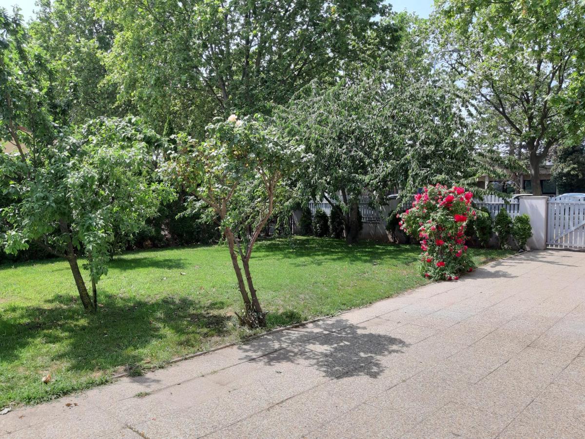 Eisenstadt Apartments المظهر الخارجي الصورة